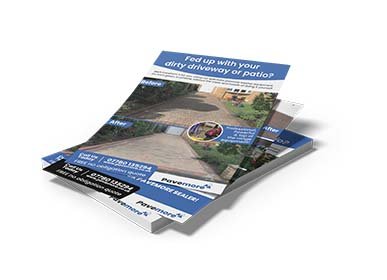 leaflet mockup